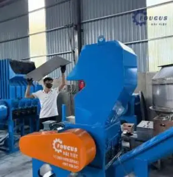 Tin tức